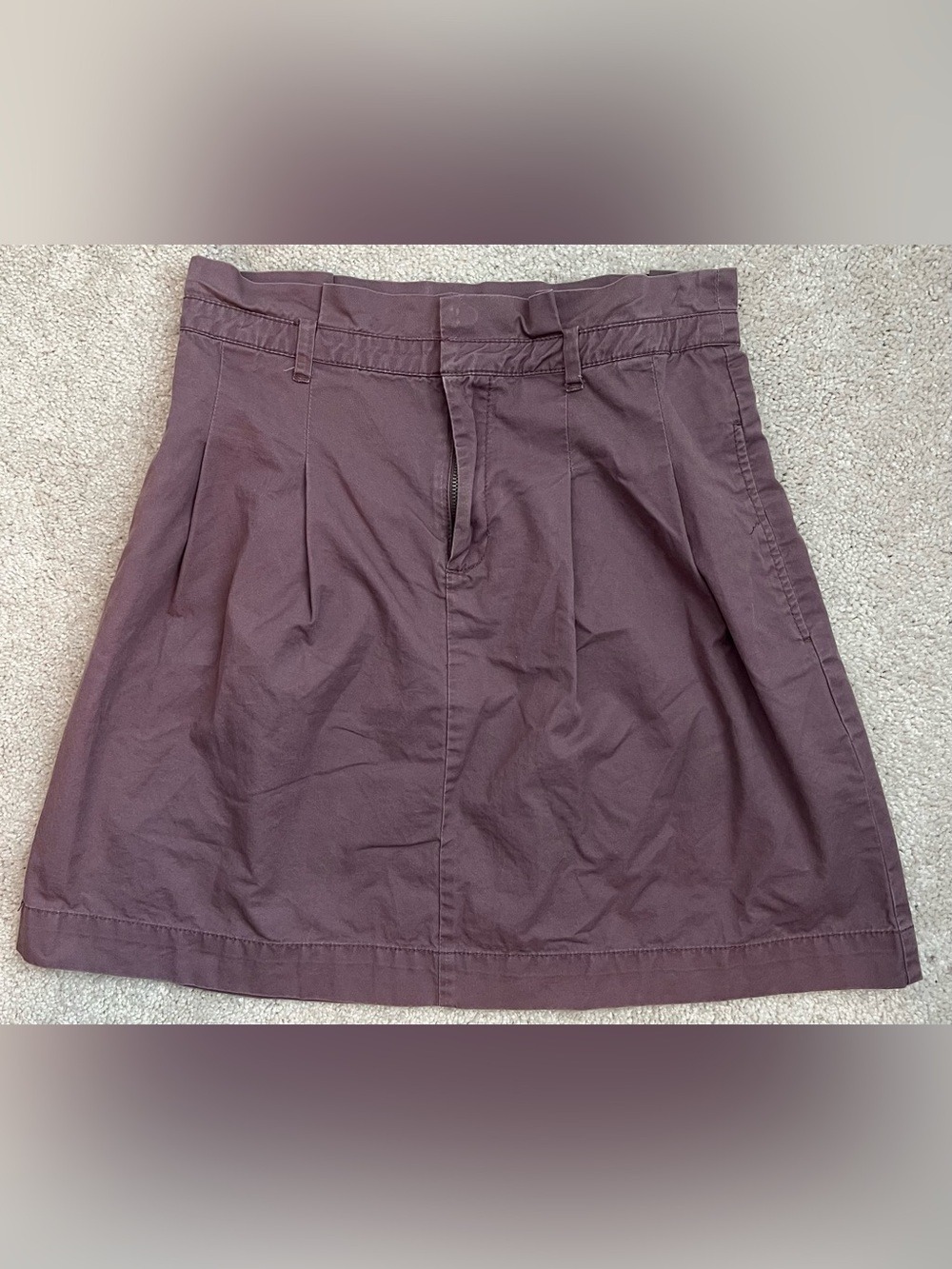 Zara Pleated Mini Skirt in Plum